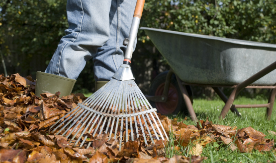 AWIGO-Tipps für Hobbygärtner: Jetzt den Garten winterfest machen